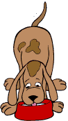perro